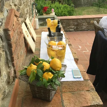 Il Mulino *